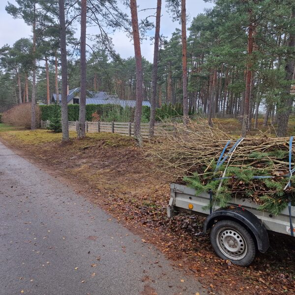 Zāles pļaušana Jūrmalā: Teritorijas uzturēšana un zāliena aerācija Jūrmalā.