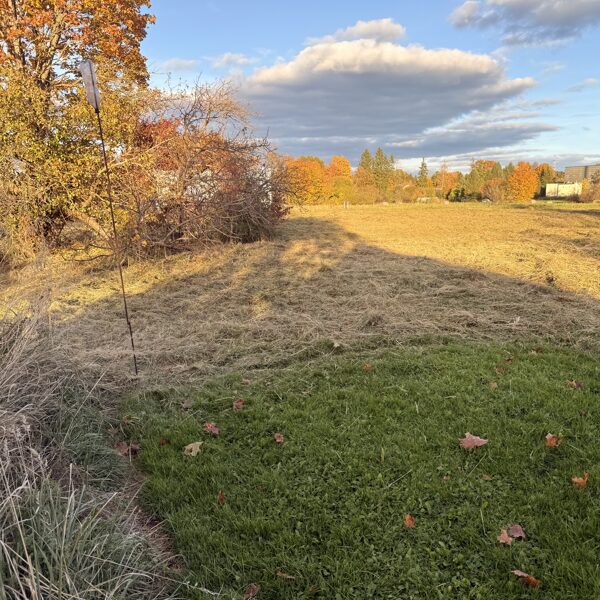 Aizaugušu teritoriju pļaušana Jūrmalā: Apkārtnes sakopšana un sarežģītu, nelīdzenu zonu pļ